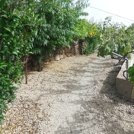 Wawa Tenerife Guía de Isora